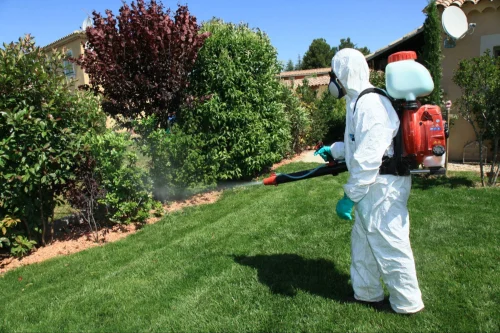 Prosper Mosquito Control