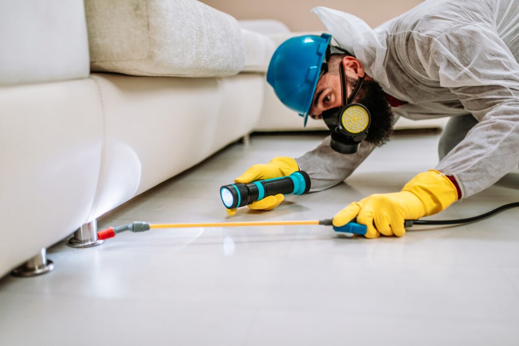 Prosper Termite Control